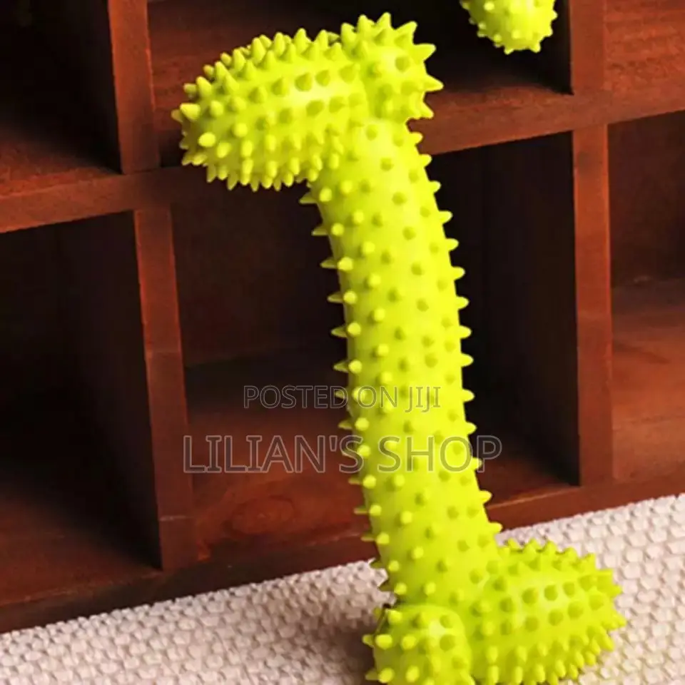 Dog and Cat Accessories