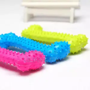 Dog and Cat Accessories