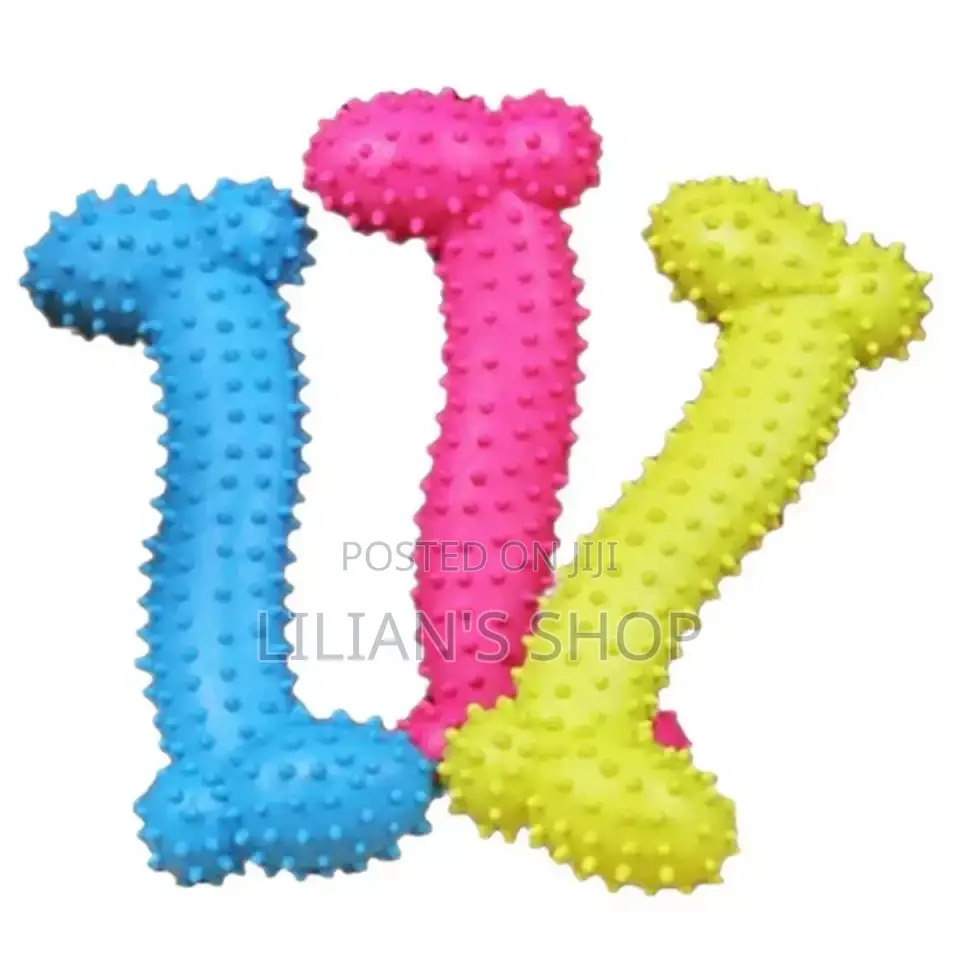 Dog and Cat Accessories