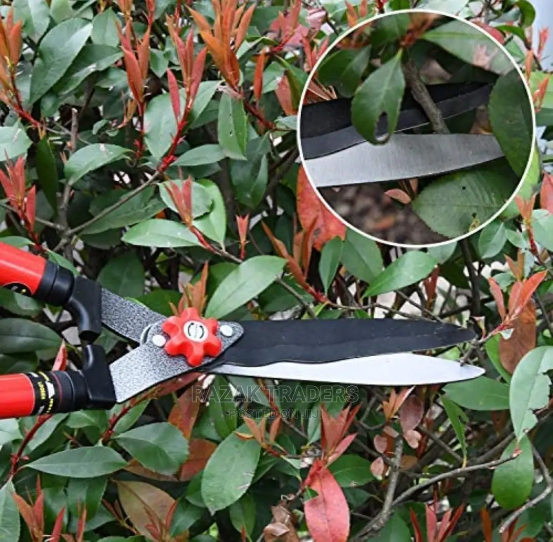 Garden Shears