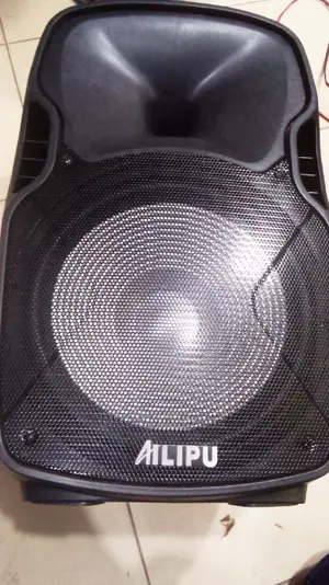 Alipu 15inch Top Speaker
