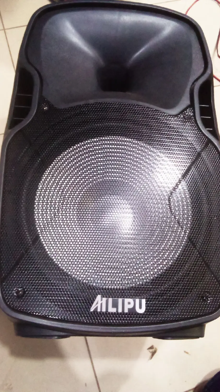 Alipu 15inch Top Speaker
