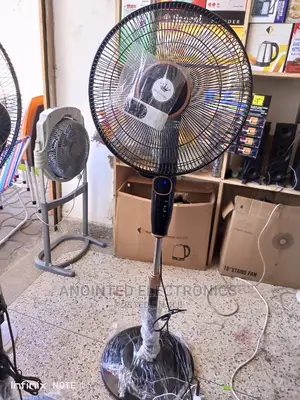 Remote Stand Fan
