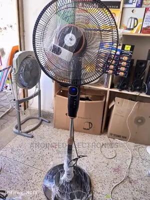 Remote Stand Fan