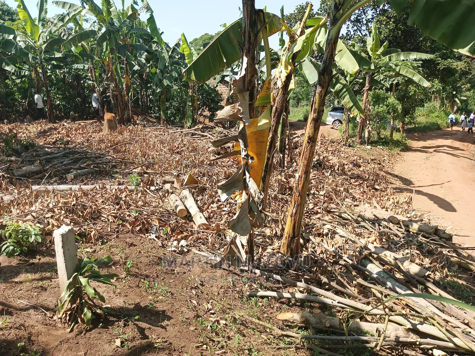 Kabaka Land, Gayaza-bugema, Bunsule Village