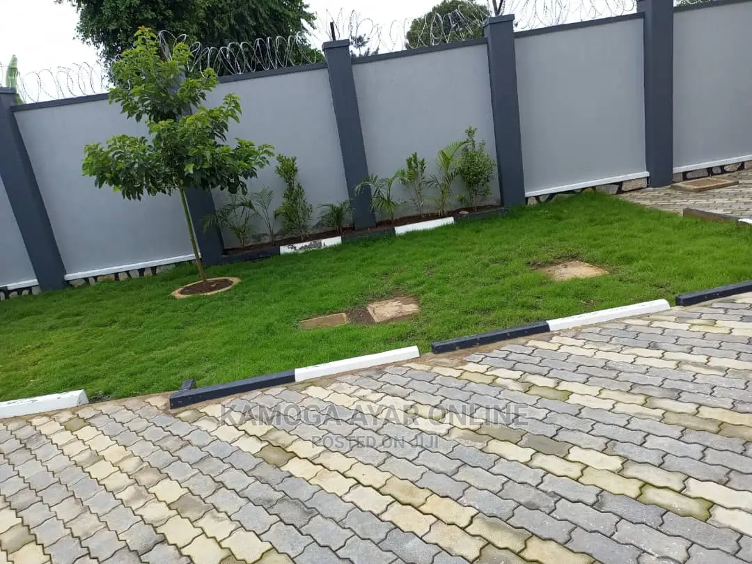Natural Grass Carpet And Paspalum Grass 1