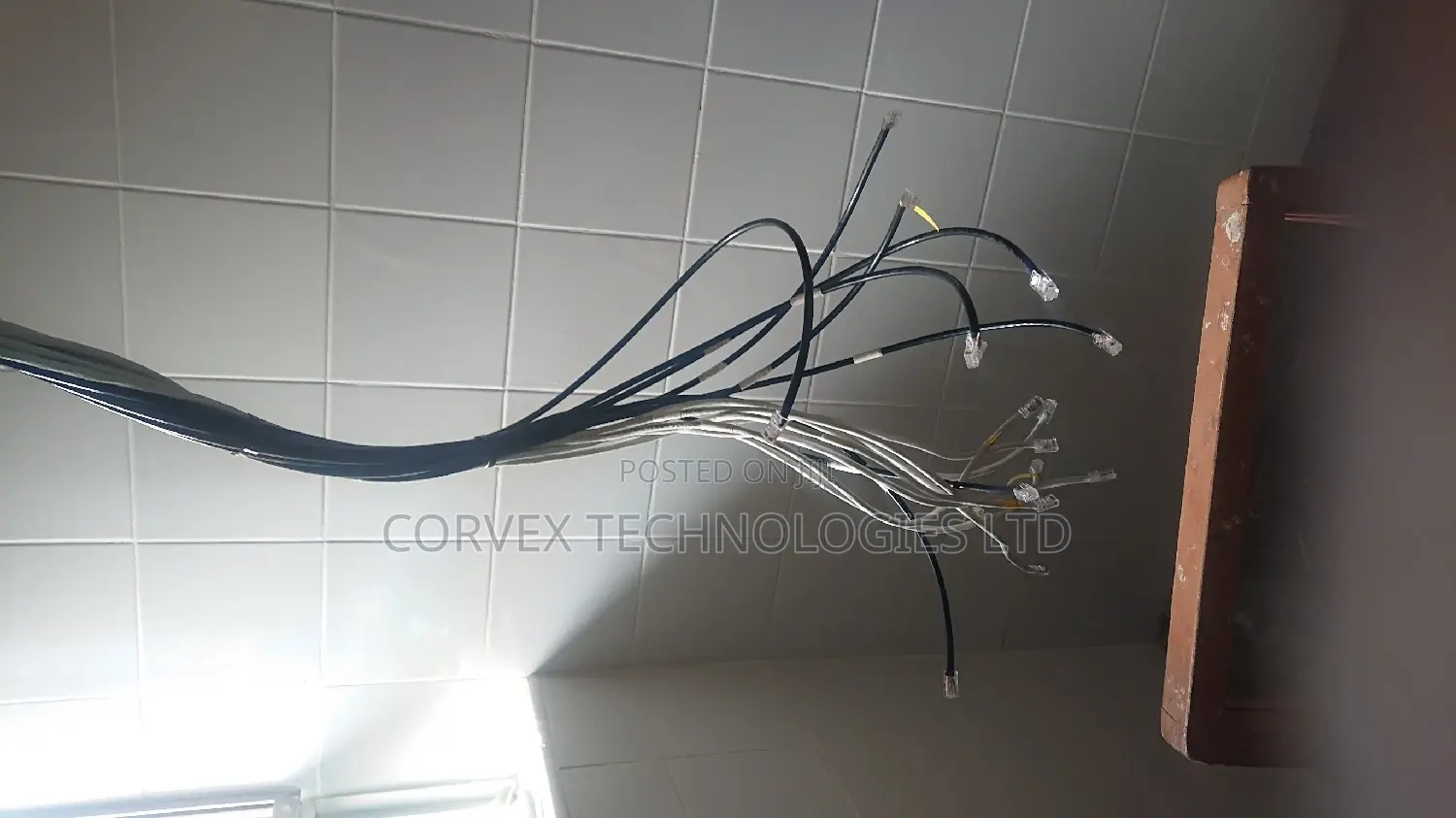 Networking Services
