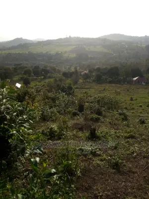 Plot for Sale 40x50ft at 10m Ugx Buloba Muyeje Town