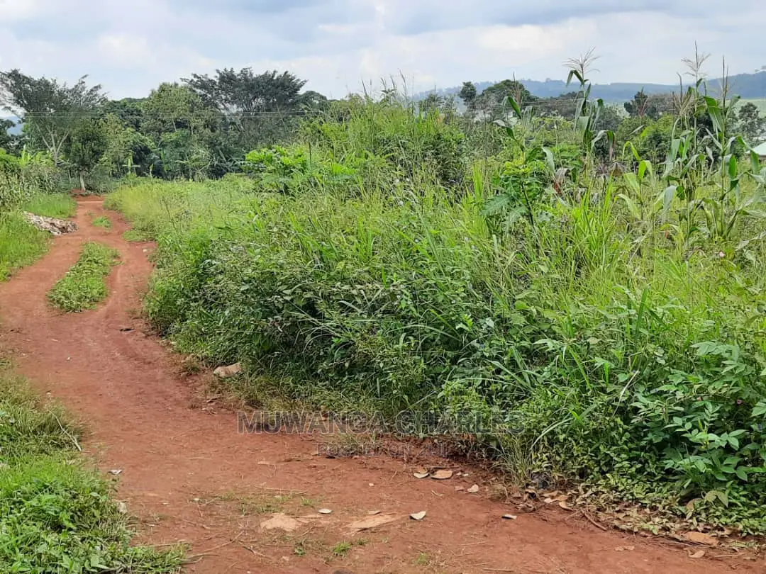 12decimals Plot of Land for Sale in Buwate