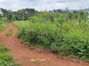 12decimals Plot of Land for Sale in Buwate
