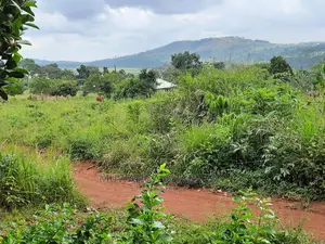 12decimals Plot of Land for Sale in Buwate
