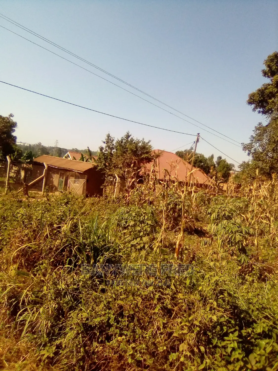 50/100 Plot for in Bweyogerere Buto