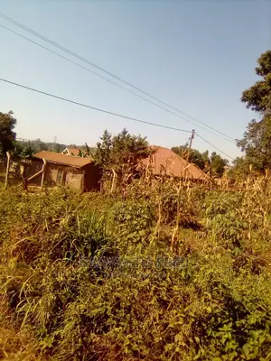 Photo - 50/100 Plot for in Bweyogerere Buto