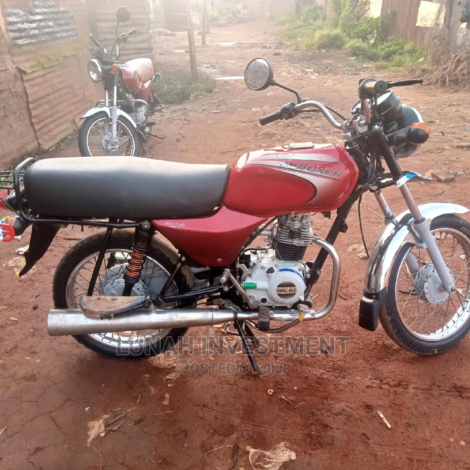 Bajaj Boxer 2021 Pink