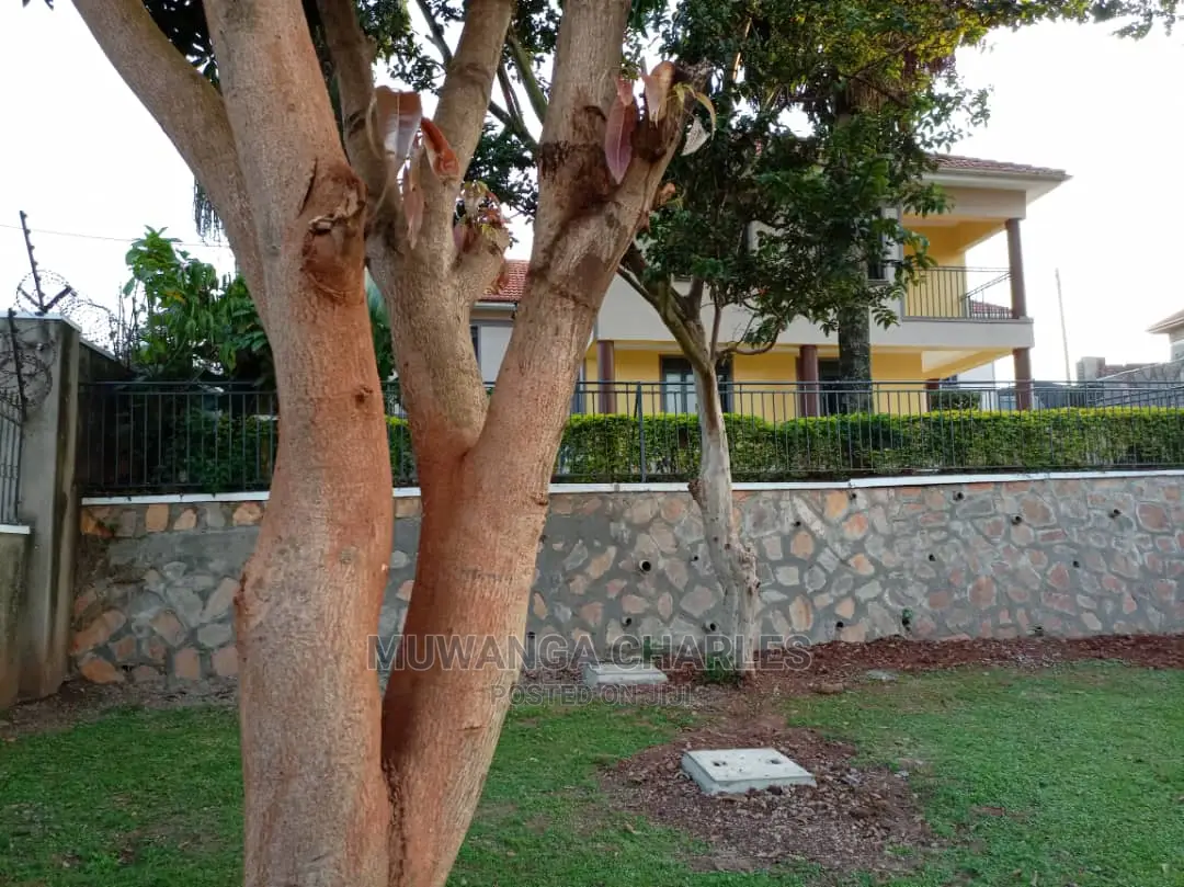 4bdrm Duplex in Fs Properties Ltd, Central Division for Sale