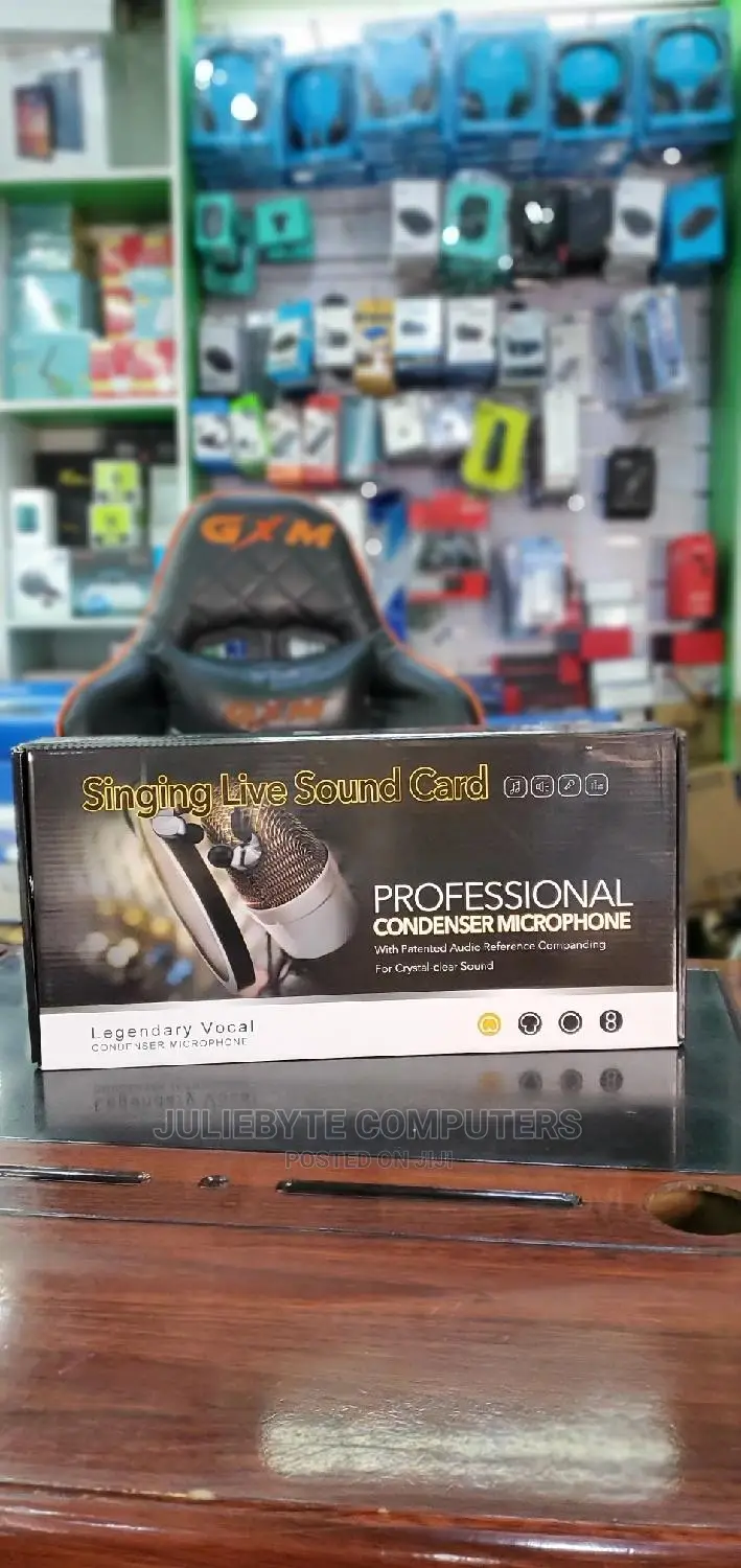Professional Condensor Microphone