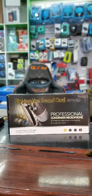 Professional Condensor Microphone