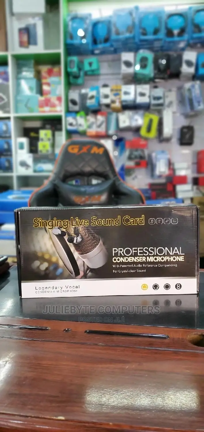 Professional Condensor Microphone