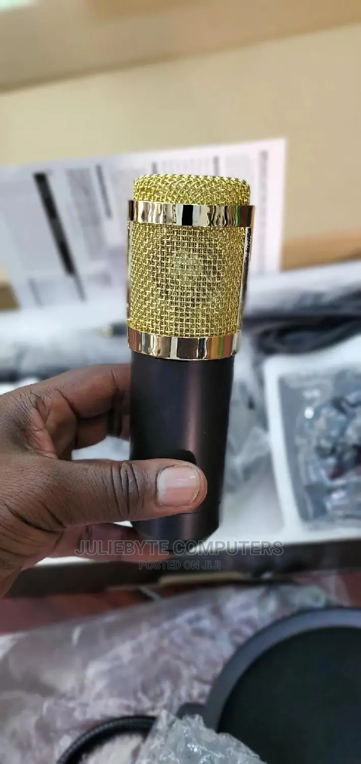 Professional Condensor Microphone
