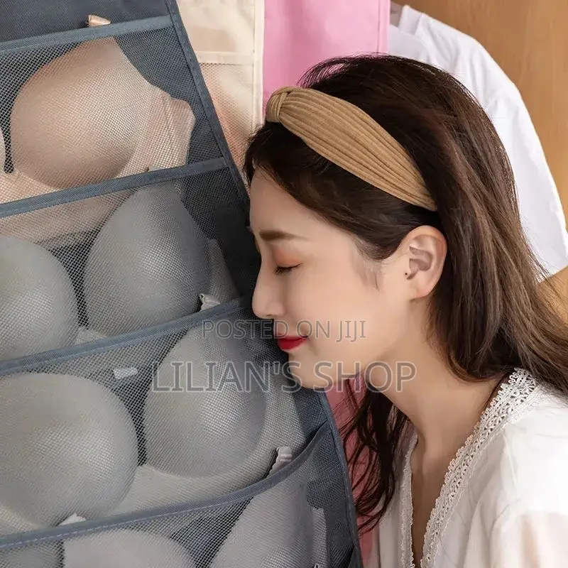 Bra/ Socks Organizer