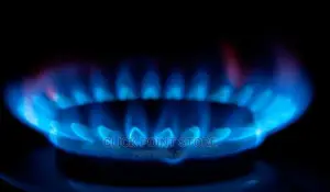 Double Gas Plate/Bowang Gas Stove/Gas Stove/Gas Plate/ Gas