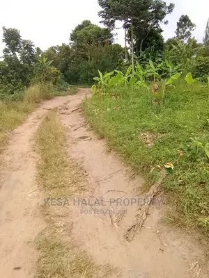 Good 10 Plots 50X100 at 6m on Bombo Road After Kalule Town
