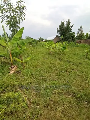 Good 10 Plots 50X100 at 6m on Bombo Road After Kalule Town