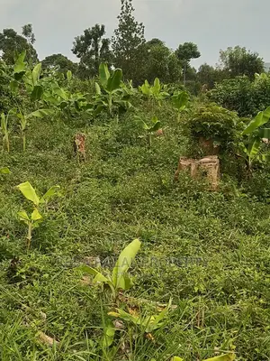 Good 10 Plots 50X100 at 6m on Bombo Road After Kalule Town