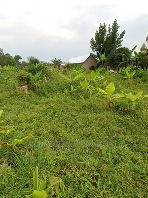 Good 10 Plots 50X100 at 6m on Bombo Road After Kalule Town