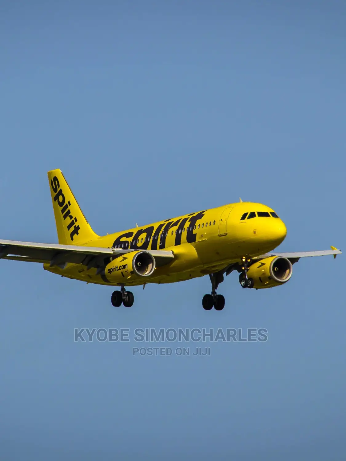 Chattered Airplanes And Helicopters
