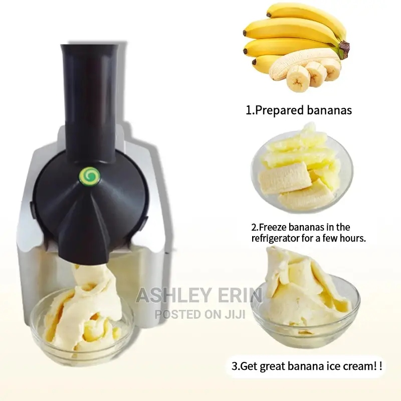 Fruit Ice Cream Maker/Dessert Maker