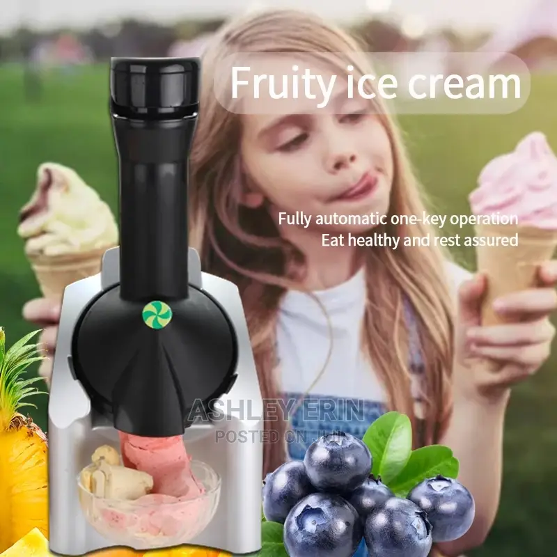 Fruit Ice Cream Maker/Dessert Maker