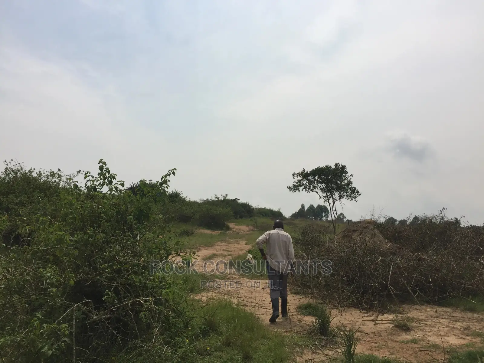 Any Acres Land/Farm , Kashari, Isingiro, Mbarara Etc