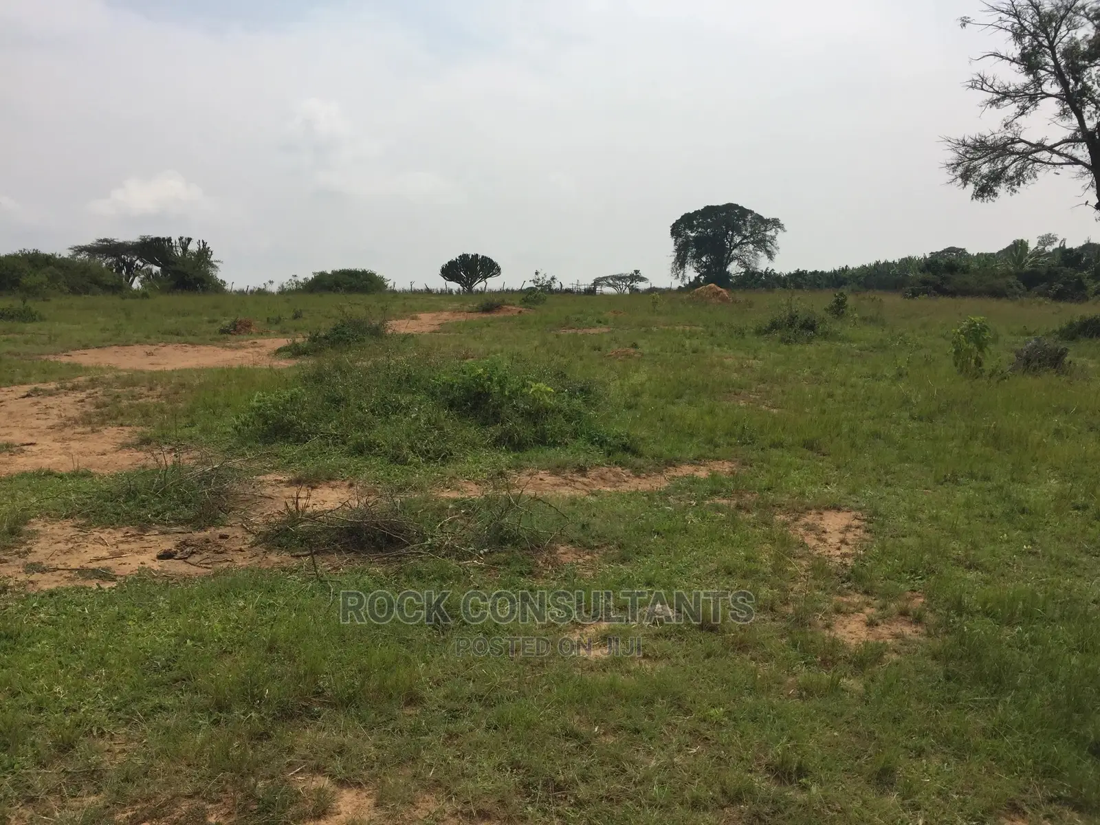 Any Acres Land/Farm , Kashari, Isingiro, Mbarara Etc