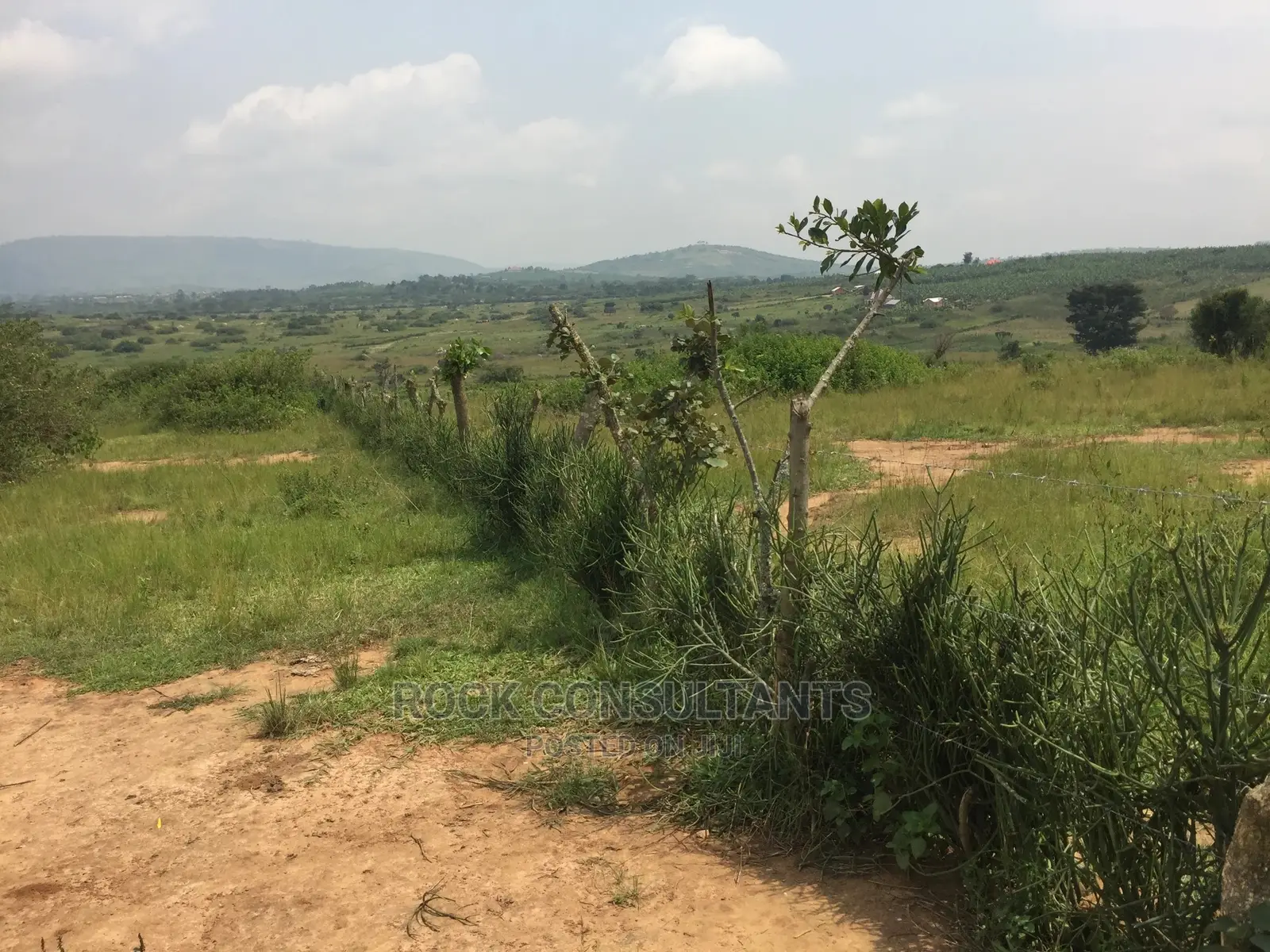 Any Acres Land/Farm , Kashari, Isingiro, Mbarara Etc