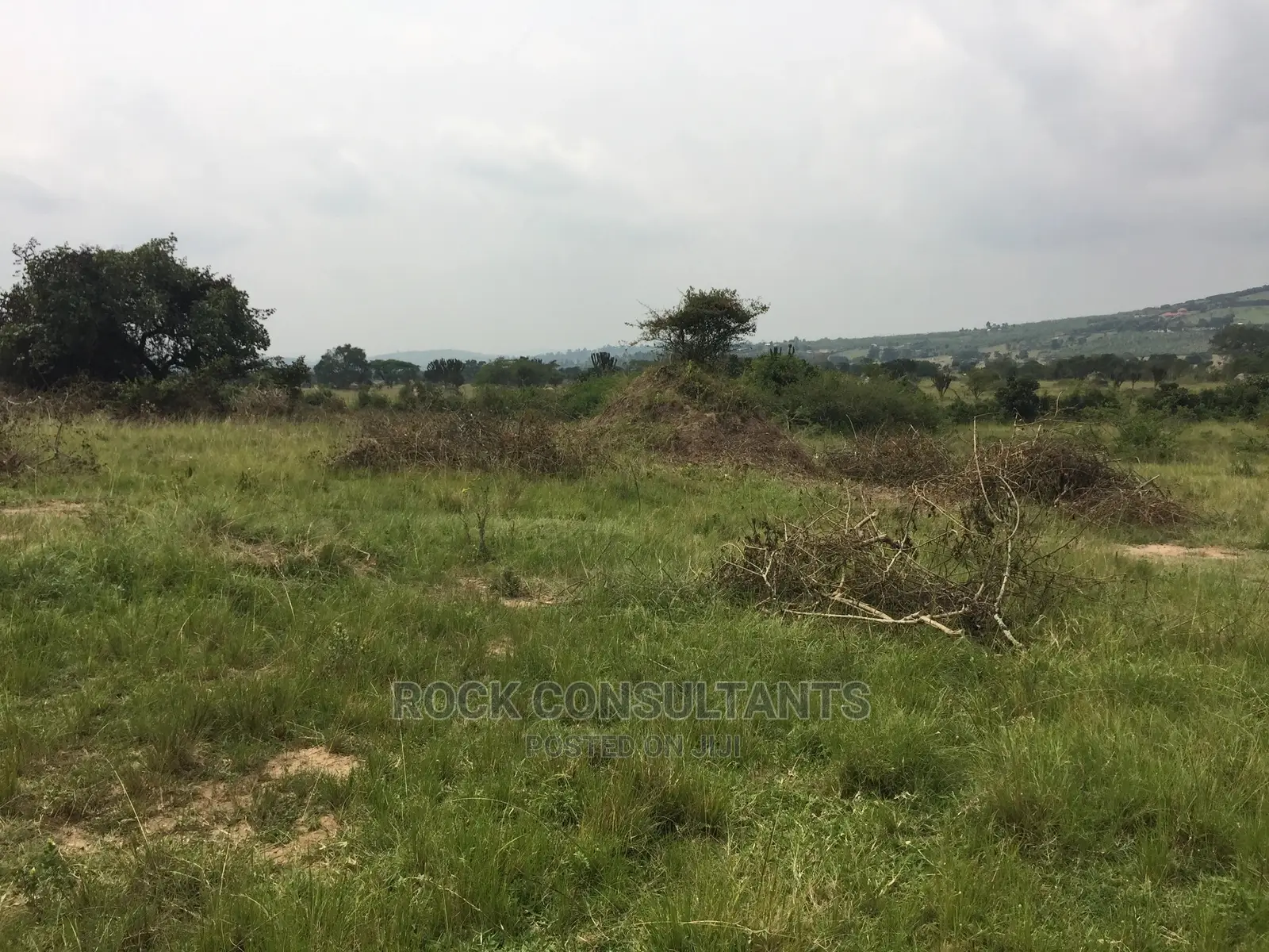 Any Acres Land/Farm , Kashari, Isingiro, Mbarara Etc