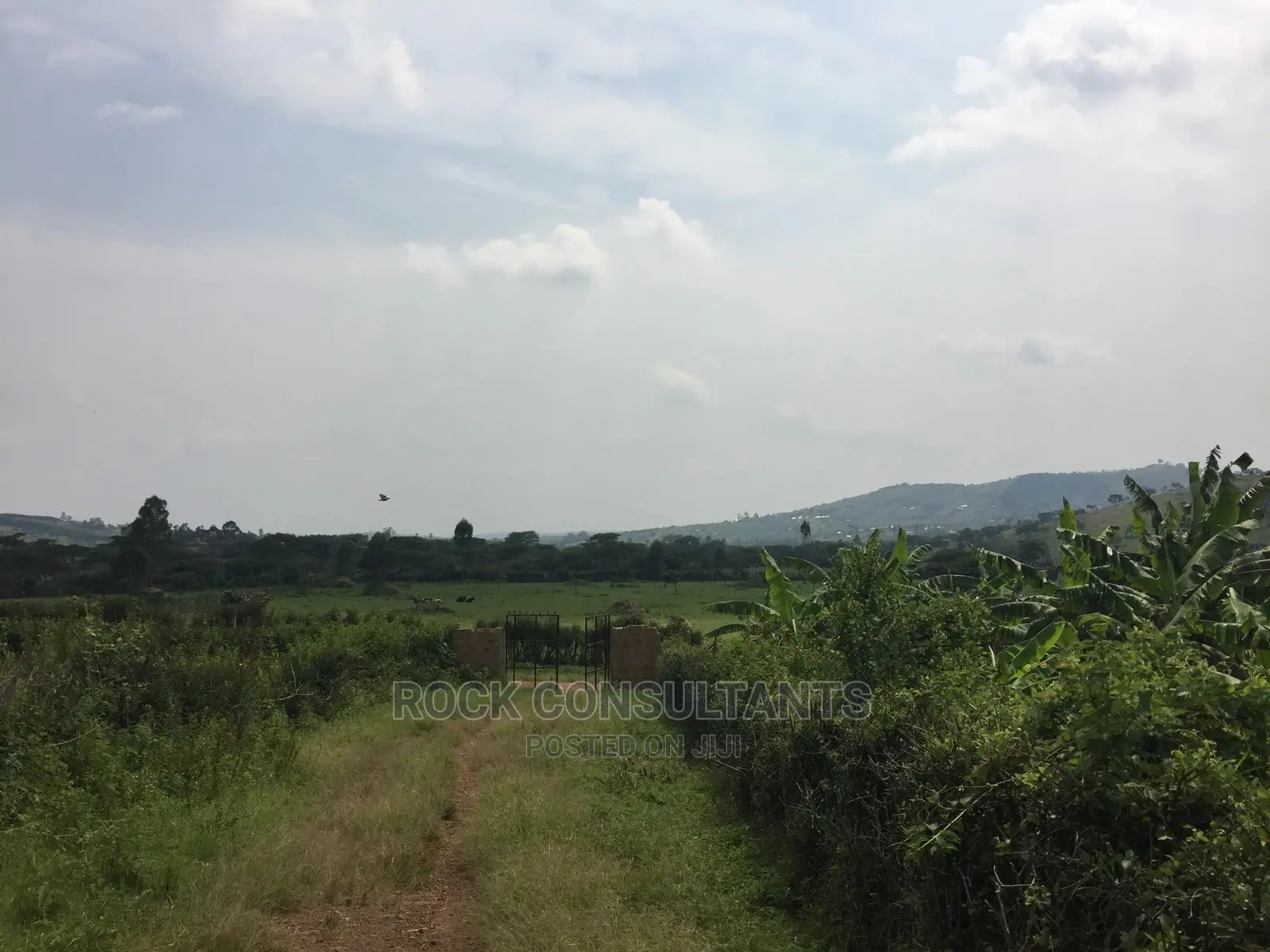 Any Acres Land/Farm , Kashari, Isingiro, Mbarara Etc