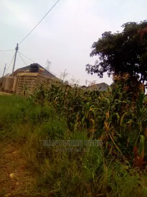 31decimal of Land on Sale at Kira Mulawa Near Total