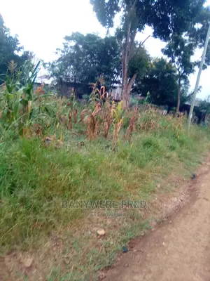 31decimal of Land on Sale at Kira Mulawa Near Total