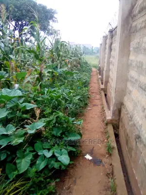 31decimal of Land on Sale at Kira Mulawa Near Total