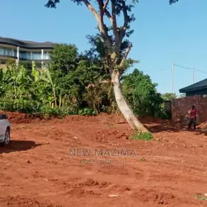 Very Beautiful Plot With Lake View Quicksale After Munyonyo