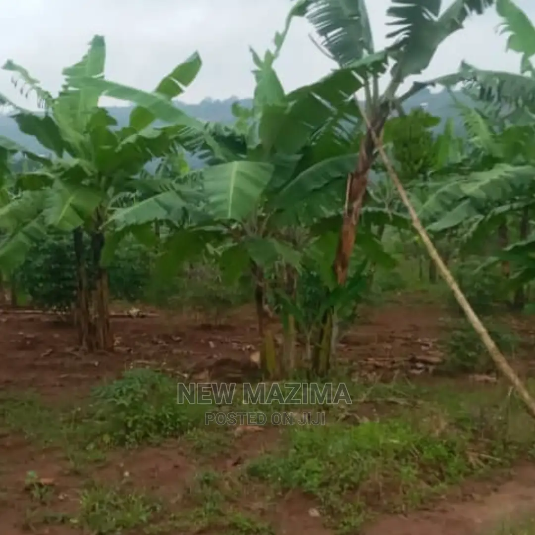 Half Acre Onquicksale Heart of Nakawuka Katwe With Lake View