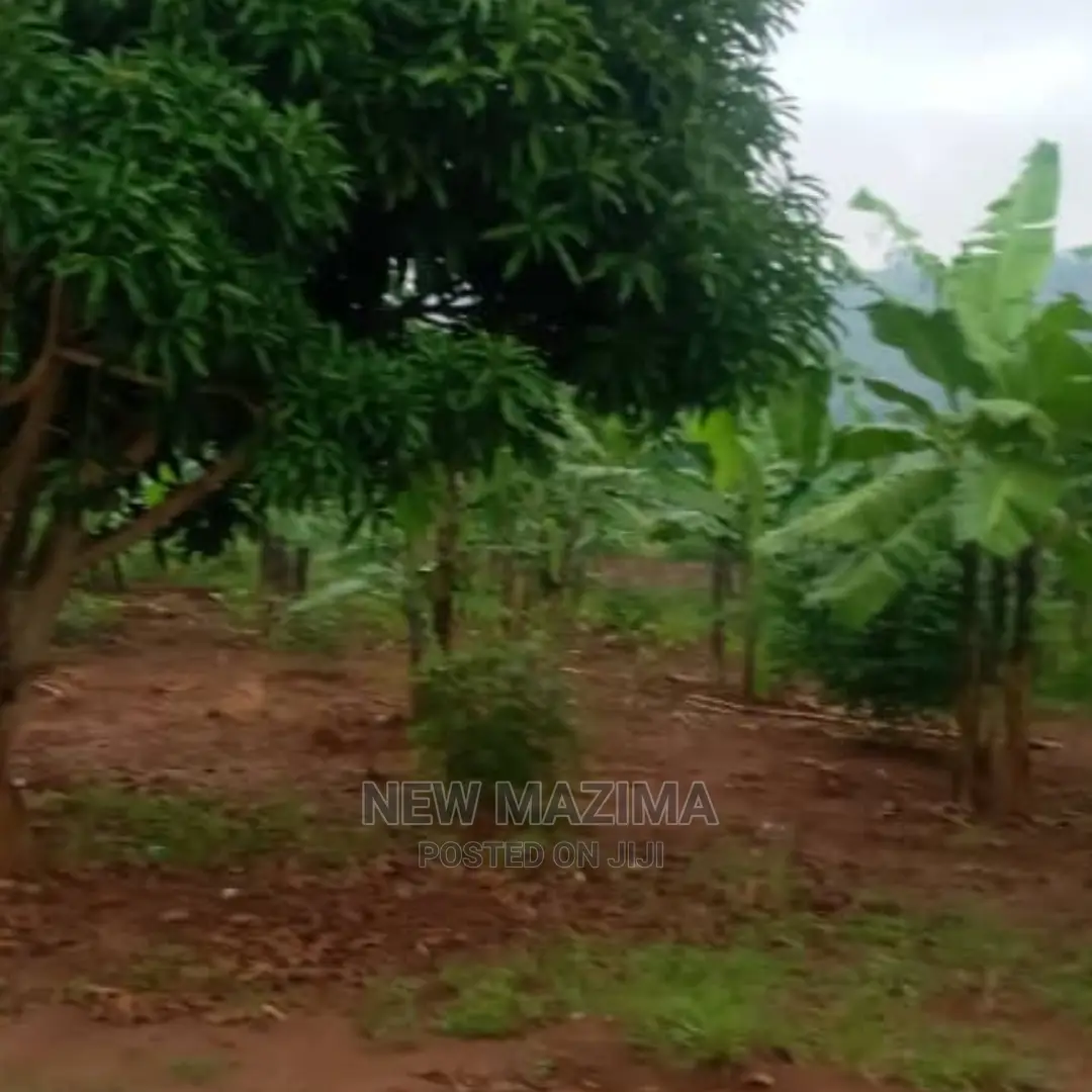 Half Acre Onquicksale Heart of Nakawuka Katwe With Lake View