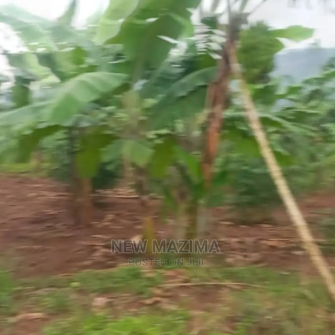 Half Acre Onquicksale Heart of Nakawuka Katwe With Lake View