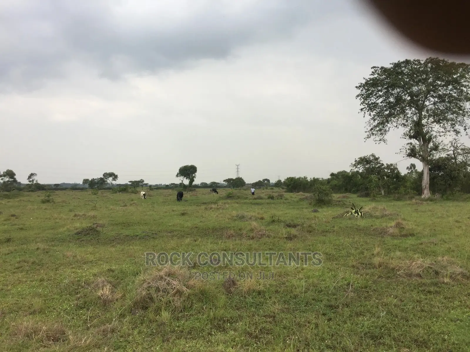 Any Acres Land/Farm , Kashari, Isingiro, Mbarara Etc