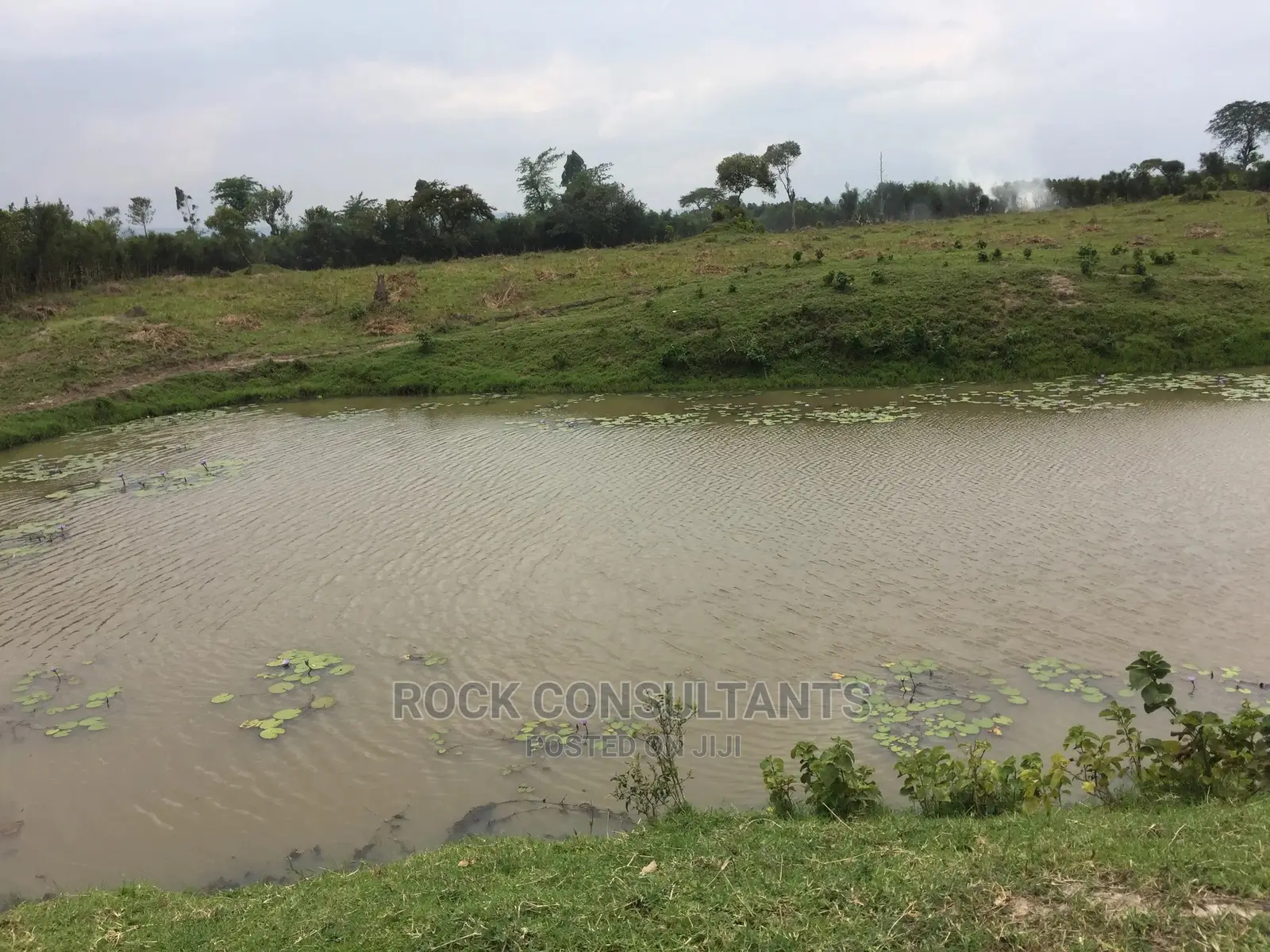 Any Acres Land/Farm , Kashari, Isingiro, Mbarara Etc