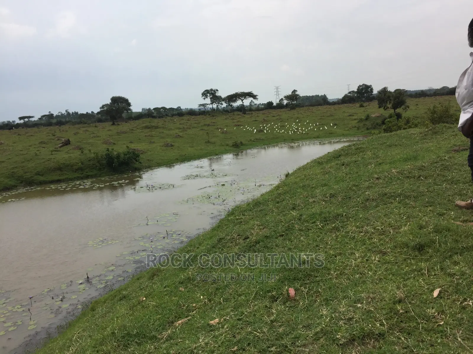 Any Acres Land/Farm , Kashari, Isingiro, Mbarara Etc