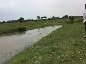 Any Acres Land/Farm , Kashari, Isingiro, Mbarara Etc