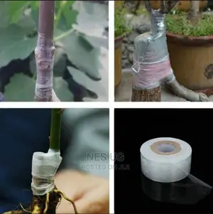 Grafting Tape Film Self-Adhesive Tape -1pc