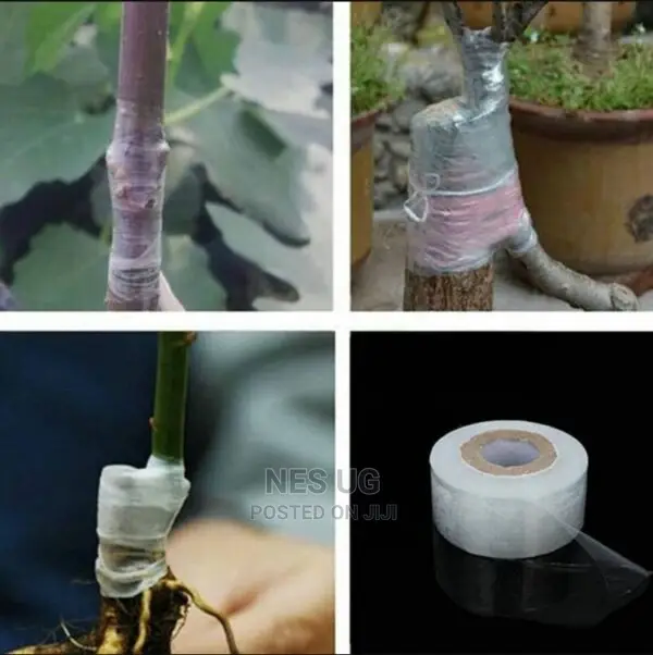 Grafting Tape Film Self-Adhesive Tape -1pc